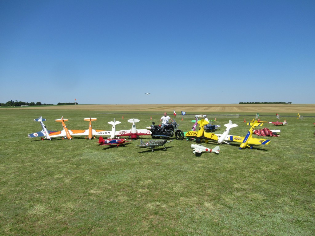 Petite visite surprise  d''Alain Ronk - Ronk Aviation Résine 